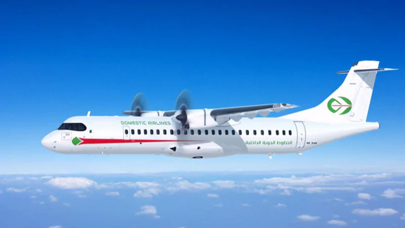 Domestic Airlines