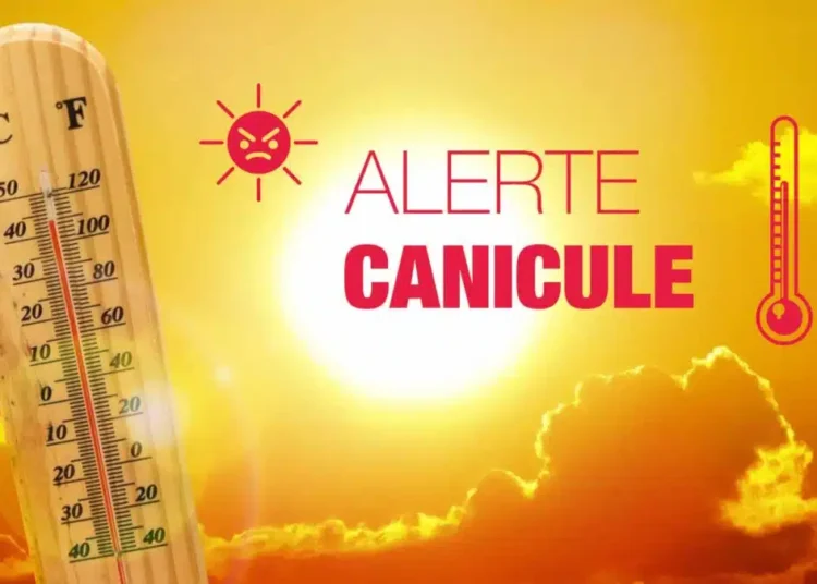 Canicule en Algérie : jusqu’à 46 °C attendus ce 27 août