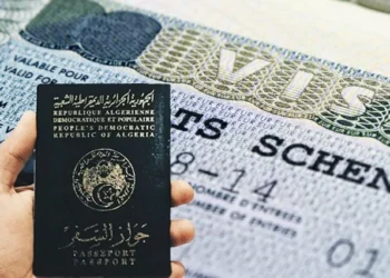 Passport Dz scaled 1