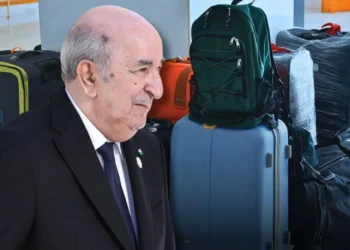 Algérie : les nouvelles règles pour importer des cabas