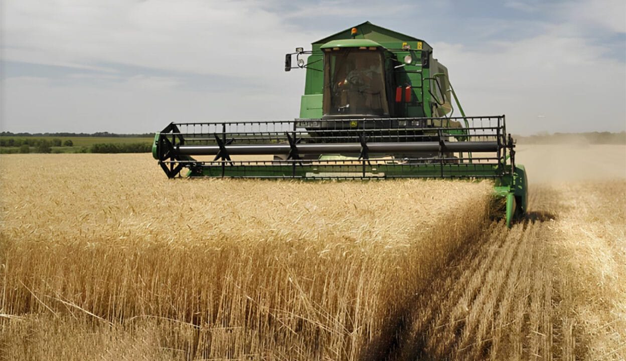 Récolte de céréales 2025 à Oran : un record historique avec plus de 53 000 quintaux récoltés Récolte de céréales 2025 à Oran : un record historique avec plus de 53 000 quintaux récoltés