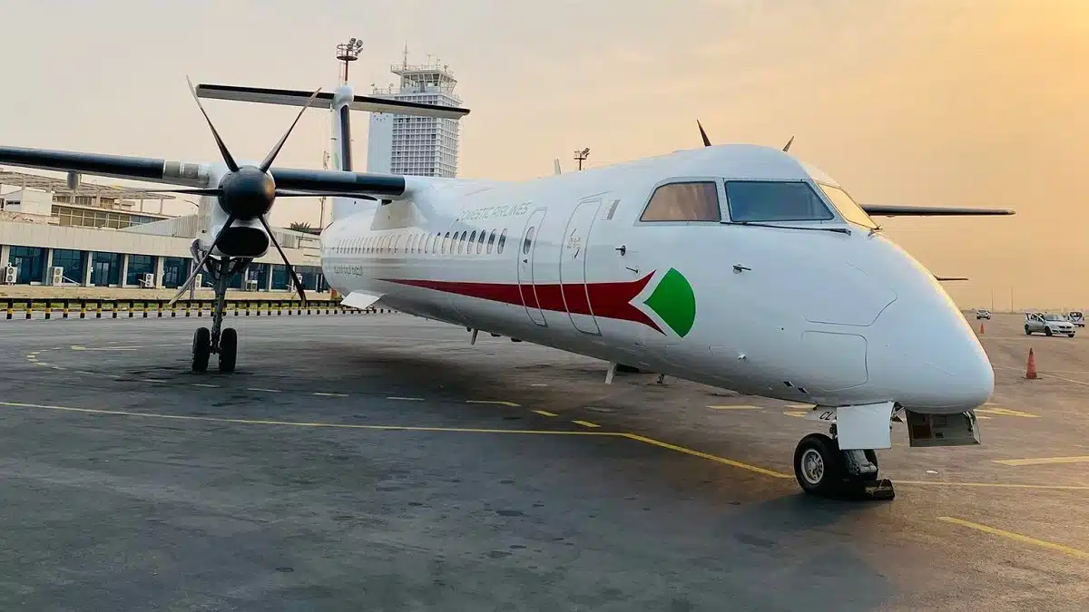 Domestic Airlines