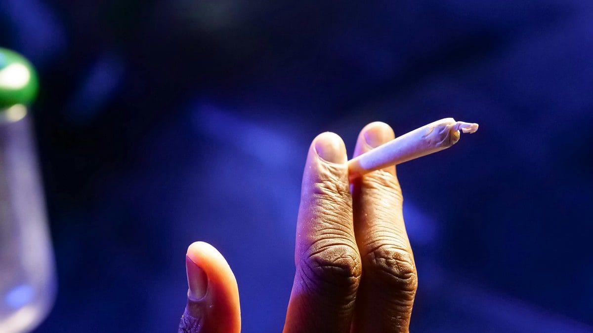 Test antidrogue au travail : ce que les candidats doivent savoir en Algérie dès maintenant Test antidrogue au travail : ce que les candidats doivent savoir en Algérie dès maintenant