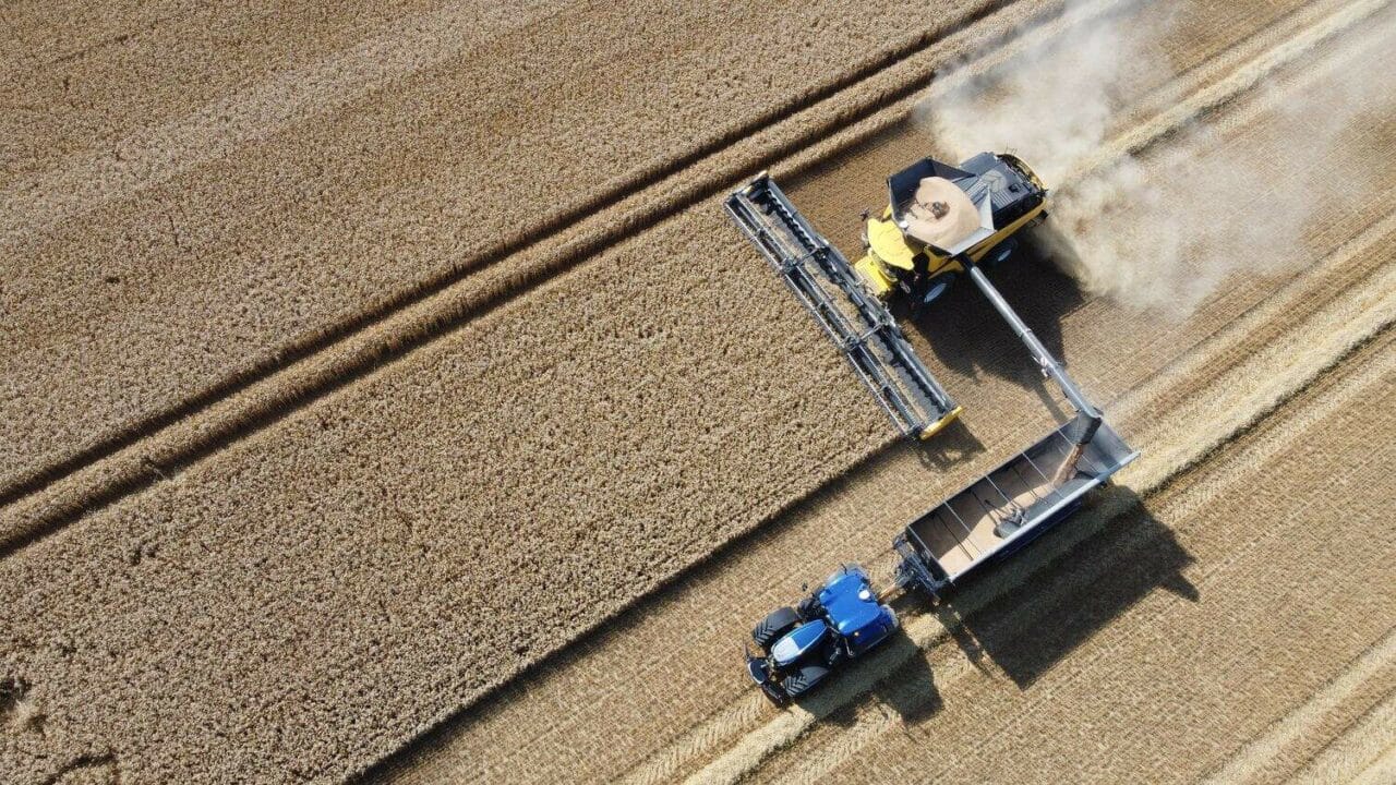 Récolte de céréales 2025 à Oran : un record historique avec plus de 53 000 quintaux récoltés Récolte de céréales 2025 à Oran : un record historique avec plus de 53 000 quintaux récoltés