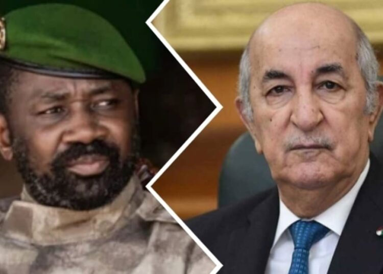 Cour internationale de justice : vives tensions entre l'Algérie et le Mali Algérie vs Mali : tensions vives devant la Cour internationale de justice