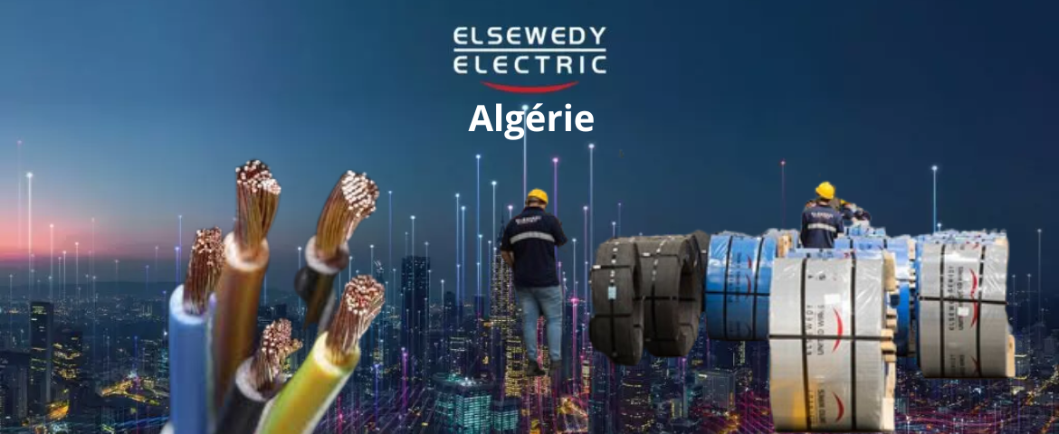 L’Algérie booste l’Afrique de l’Ouest avec 480 M$ d’équipements L’Algérie booste l’Afrique de l’Ouest avec 480 M$ d’équipements