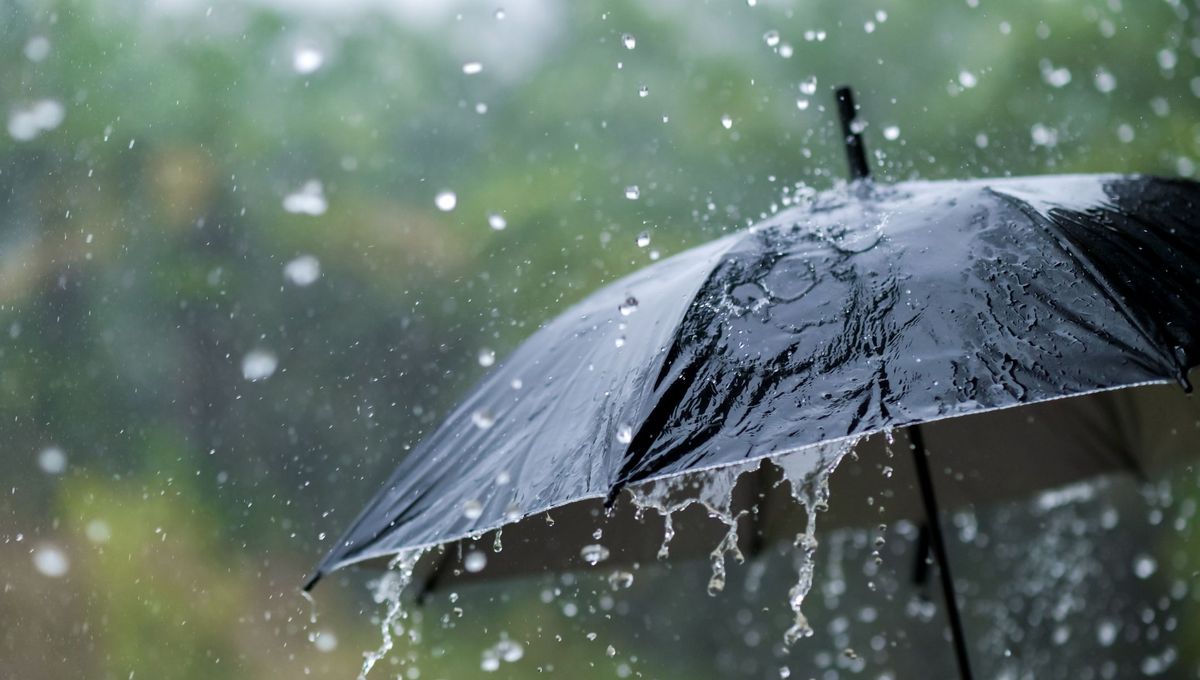 Algérie : pluies et ciel couvert ce mercredi 10 septembre Météo Algérie 11 septembre : faut-il craindre des surprises ?
