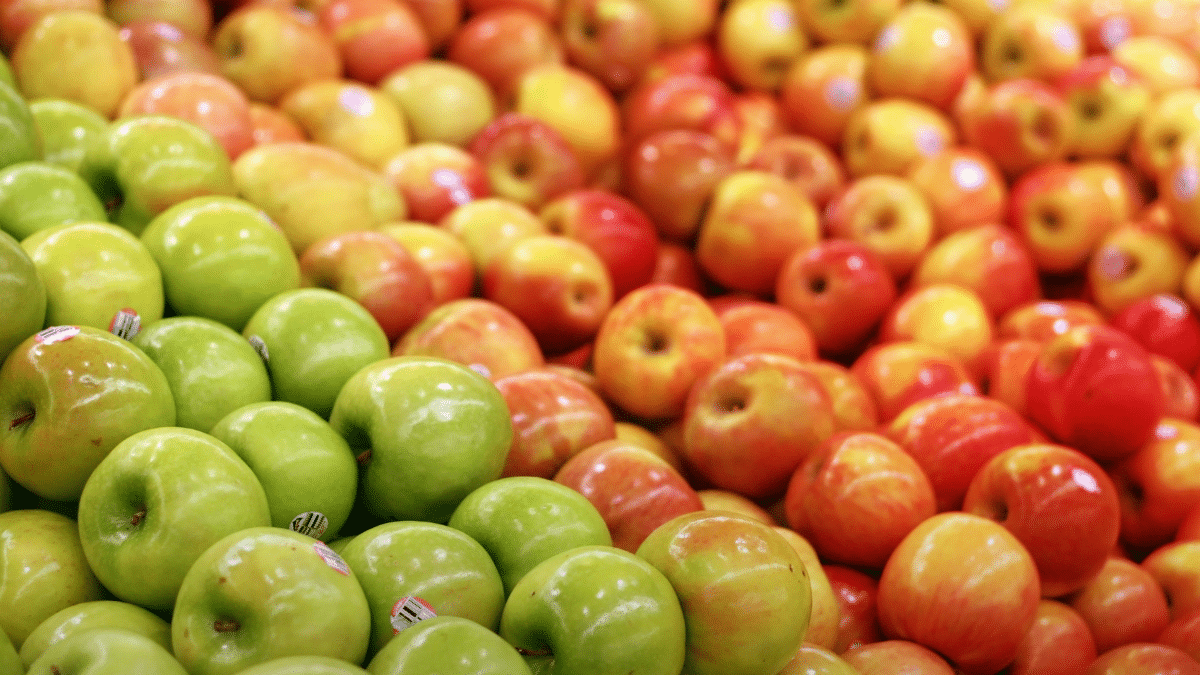 Algérie : la grêle menace les récoltes de pommes cette saison Prix des pommes algériennes : la polémique enfle encore