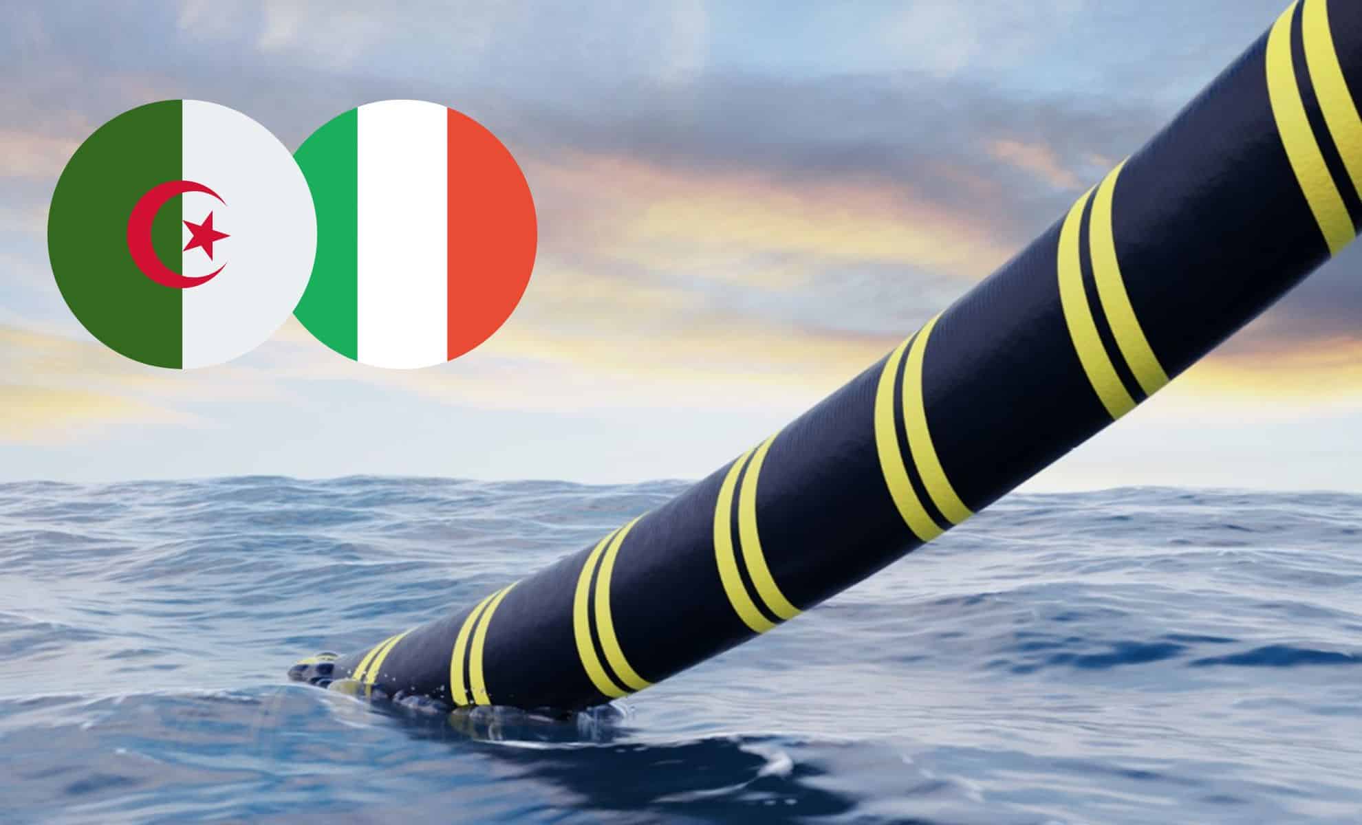 MedLink Algérie-Italie : l’investissement qui fait parler MedLink Algérie-Italie : l’investissement qui fait parler