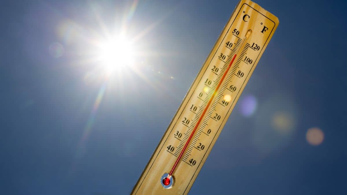 Algérie : jusqu’à 49 °C, la canicule s’abat sur plusieurs régions Météo du 17 septembre : pluie ou soleil au rendez-vous ?