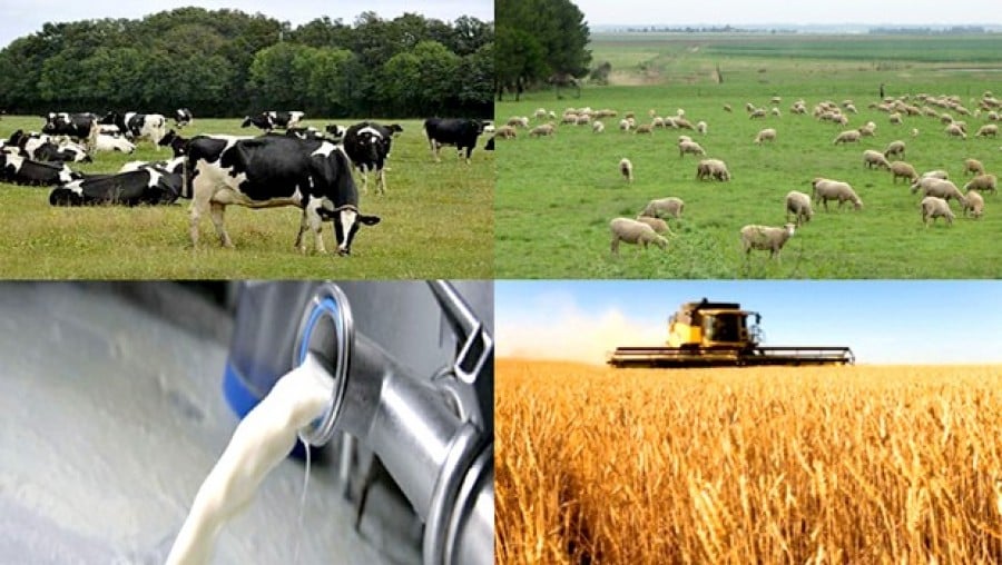 Crédit agricole en Algérie : des opportunités à découvrir ! Crédit agricole en Algérie : des opportunités à découvrir !