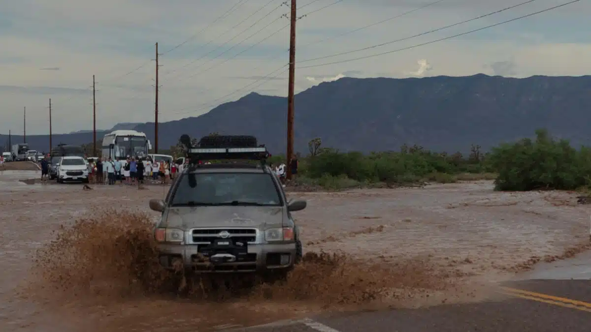 Inondations en Algérie : une victime emportée par un oued en crue Inondations en Algérie : une victime emportée par un oued en crue