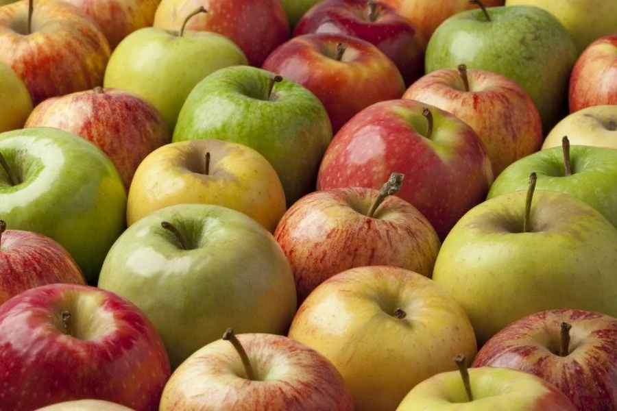 Prix des pommes algériennes : la polémique enfle encore Prix des pommes algériennes : la polémique enfle encore