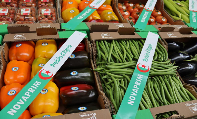 Algérie : 10 contrats agroalimentaires signés à Madrid Légumes et fruits algériens dans des boîtes à Madrid.