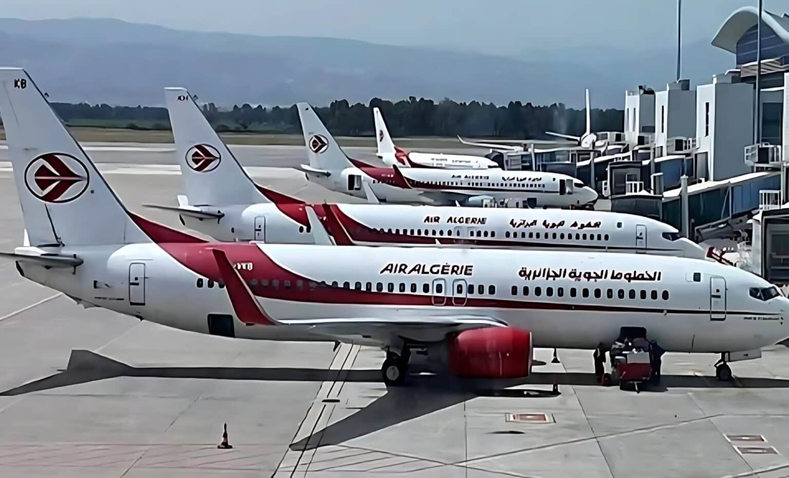 Air Algérie sur le point d’agrandir sa flotte aérienne ? Air Algérie sur le point d’agrandir sa flotte aérienne ?