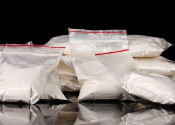 Saisie record de cocaïne en Algérie : les détails troublants