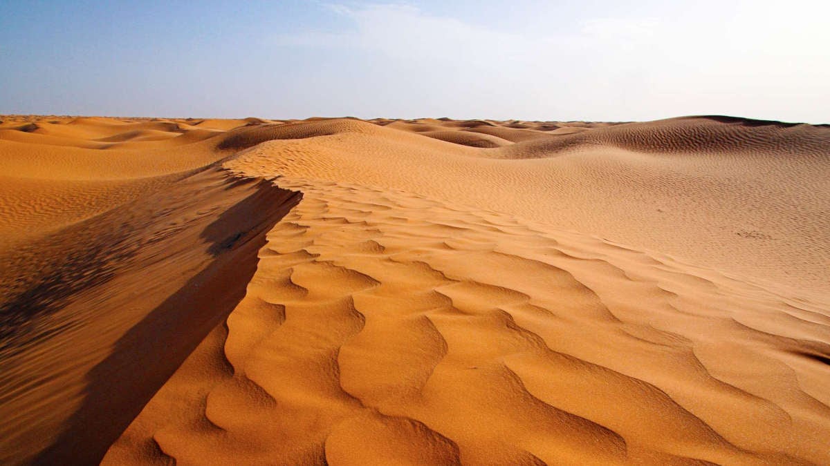 Sahara occidental : 6 révélations clés du projet US Sahara occidental : 6 révélations clés du projet US