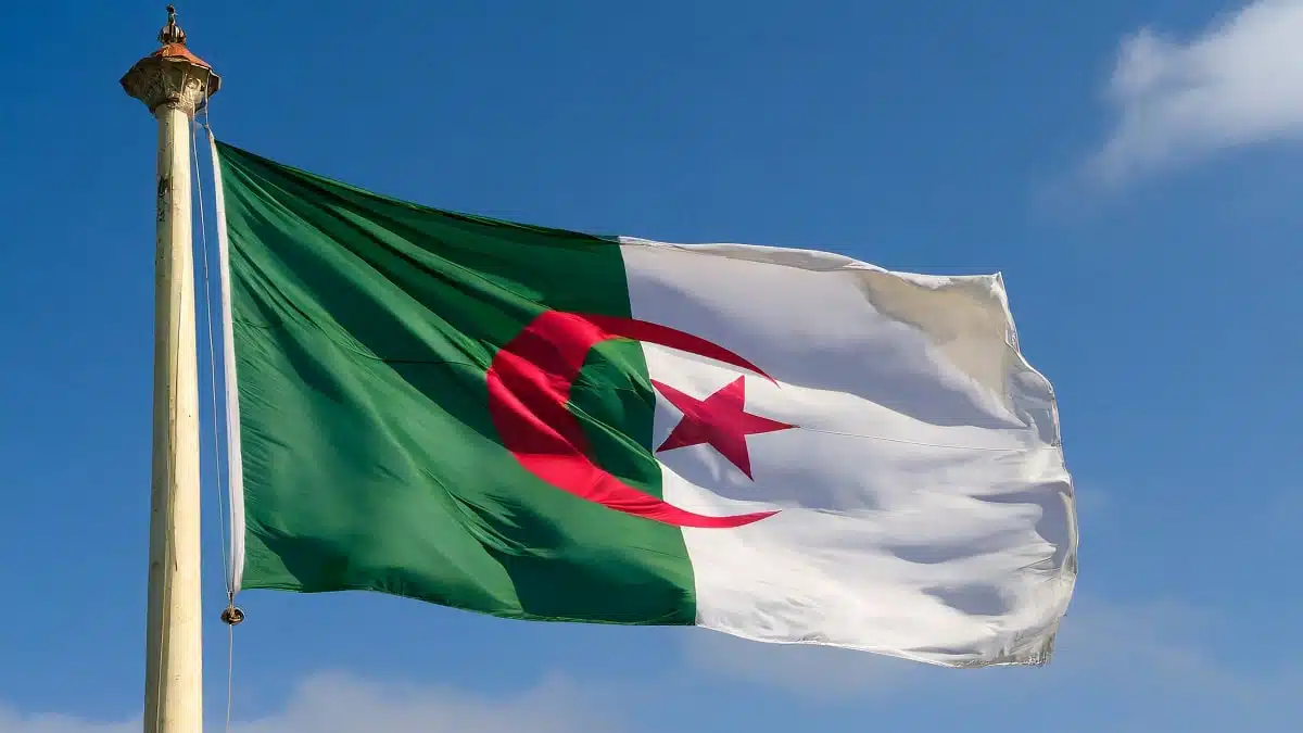 Drapeau algérien flottant dans le ciel bleu clair.