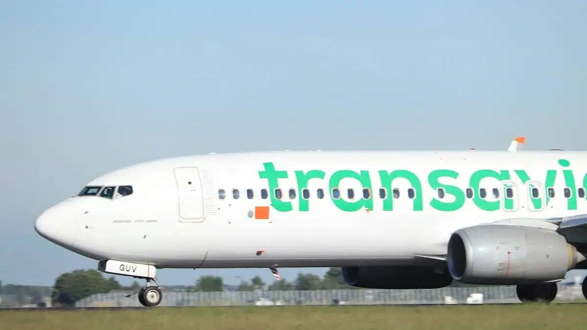 Transavia : urgence en vol entre Strasbourg et Alger Transavia : urgence en vol entre Strasbourg et Alger
