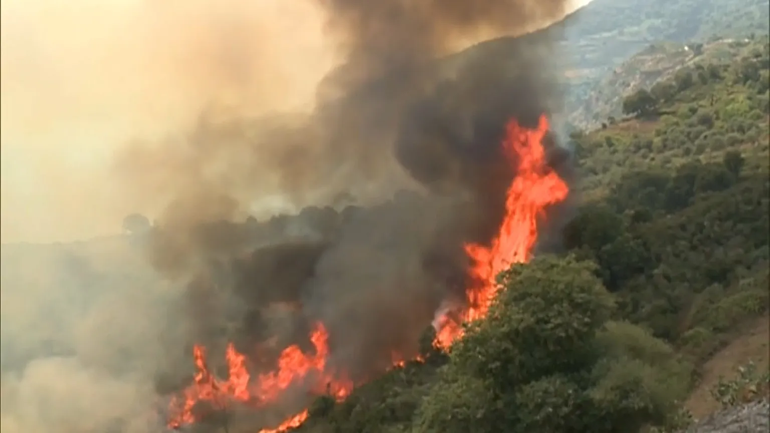 Révélations sur les incendies en Algérie : enquêtes dévoilées Révélations sur les incendies en Algérie : enquêtes dévoilées