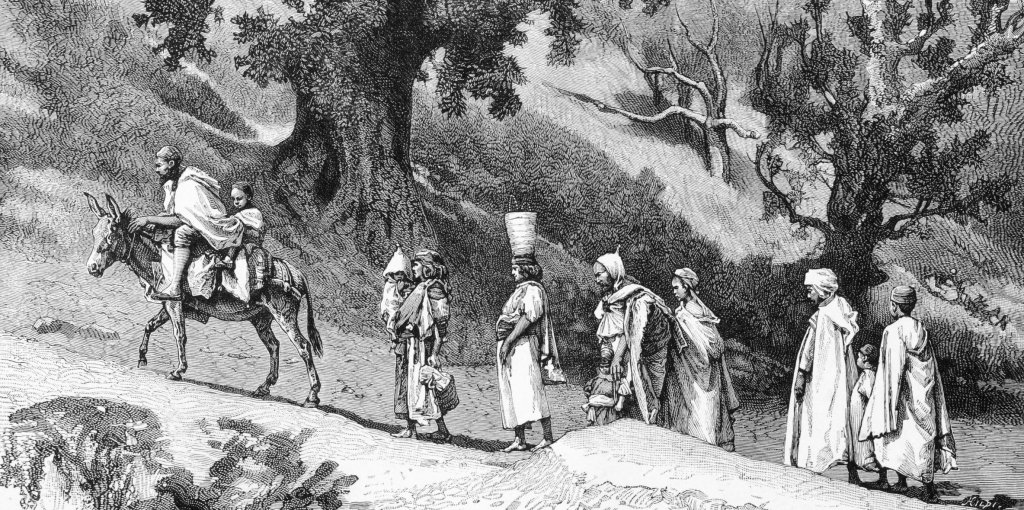 Impact écologique colonial : un passé toxique décrypté Impact écologique colonial : un passé toxique décrypté