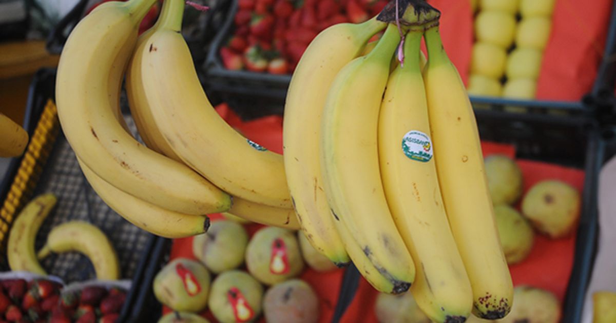 Algérie : vers une nouvelle banane au cœur du Maghreb ?