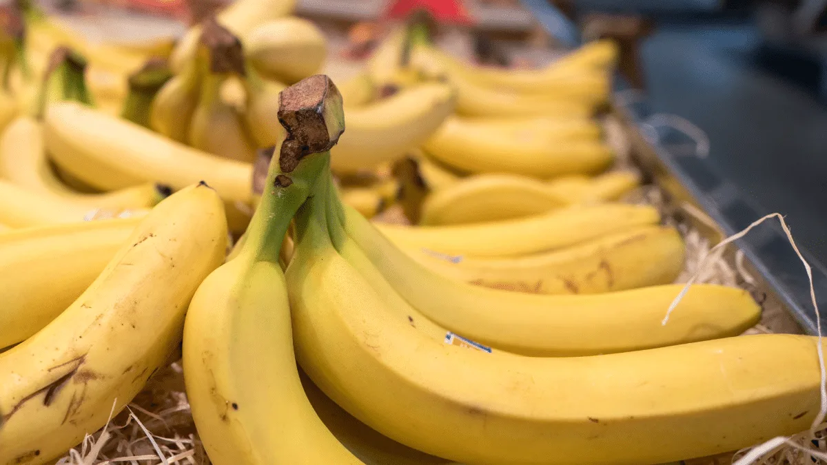 Algérie : vers une nouvelle banane au cœur du Maghreb ? Algérie : vers une nouvelle banane au cœur du Maghreb ?