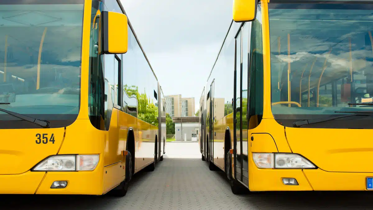 10 000 bus importés : découvrez la date de leur arrivée en Algérie