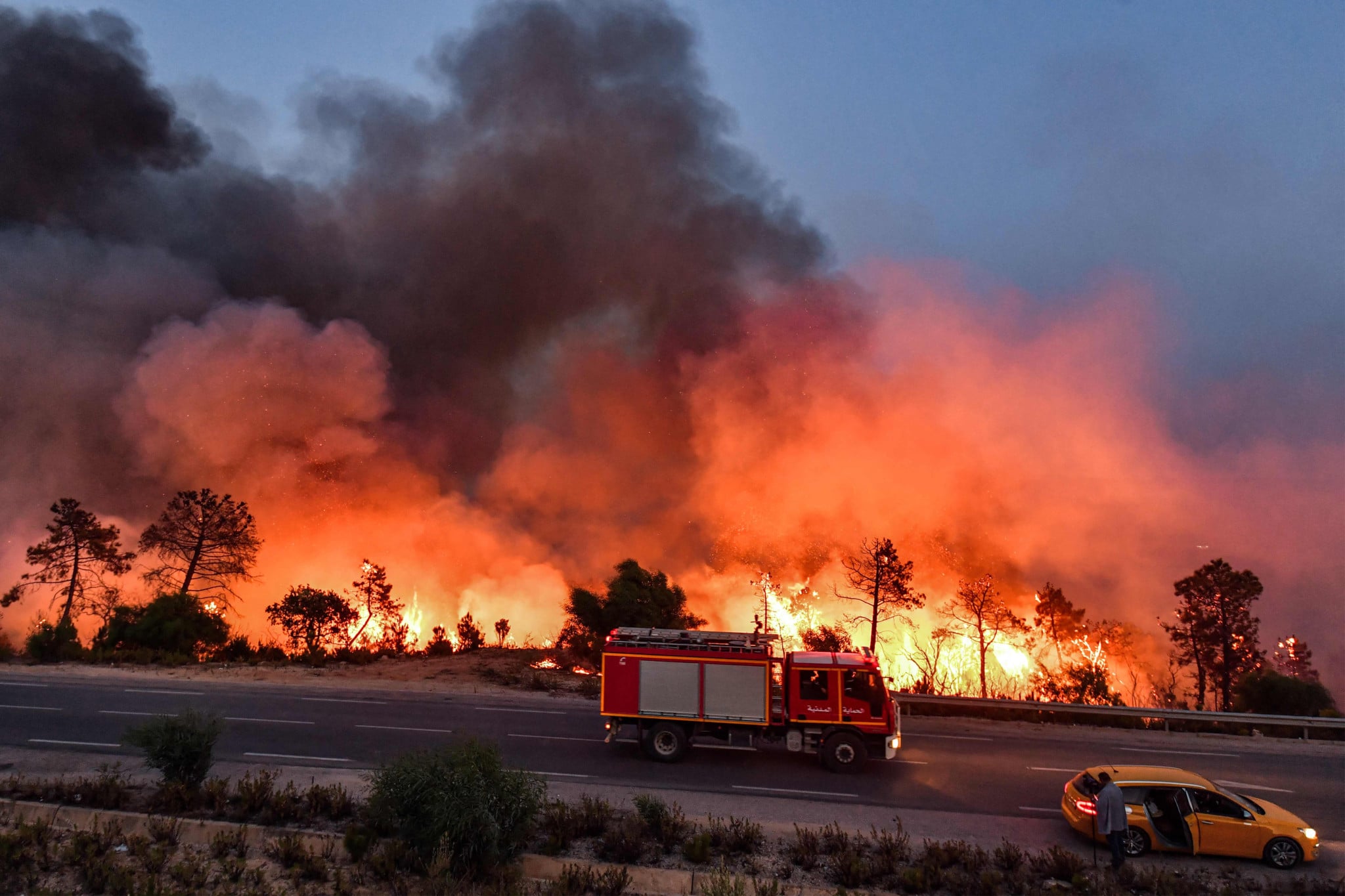Incendies en novembre en Algérie : un record inquiétant Incendies en novembre en Algérie : un record inquiétant