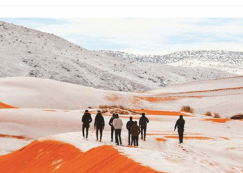Neige en Algérie : découvrez où les premiers flocons sont tombés