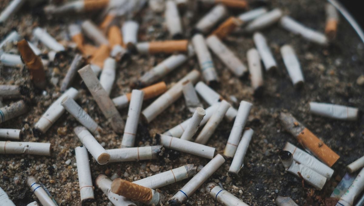 Tabagisme en 2025 : l’Algérie en tête du monde arabe ? Filtres de cigarettes et mégots sur le sol, pollution et déchets.