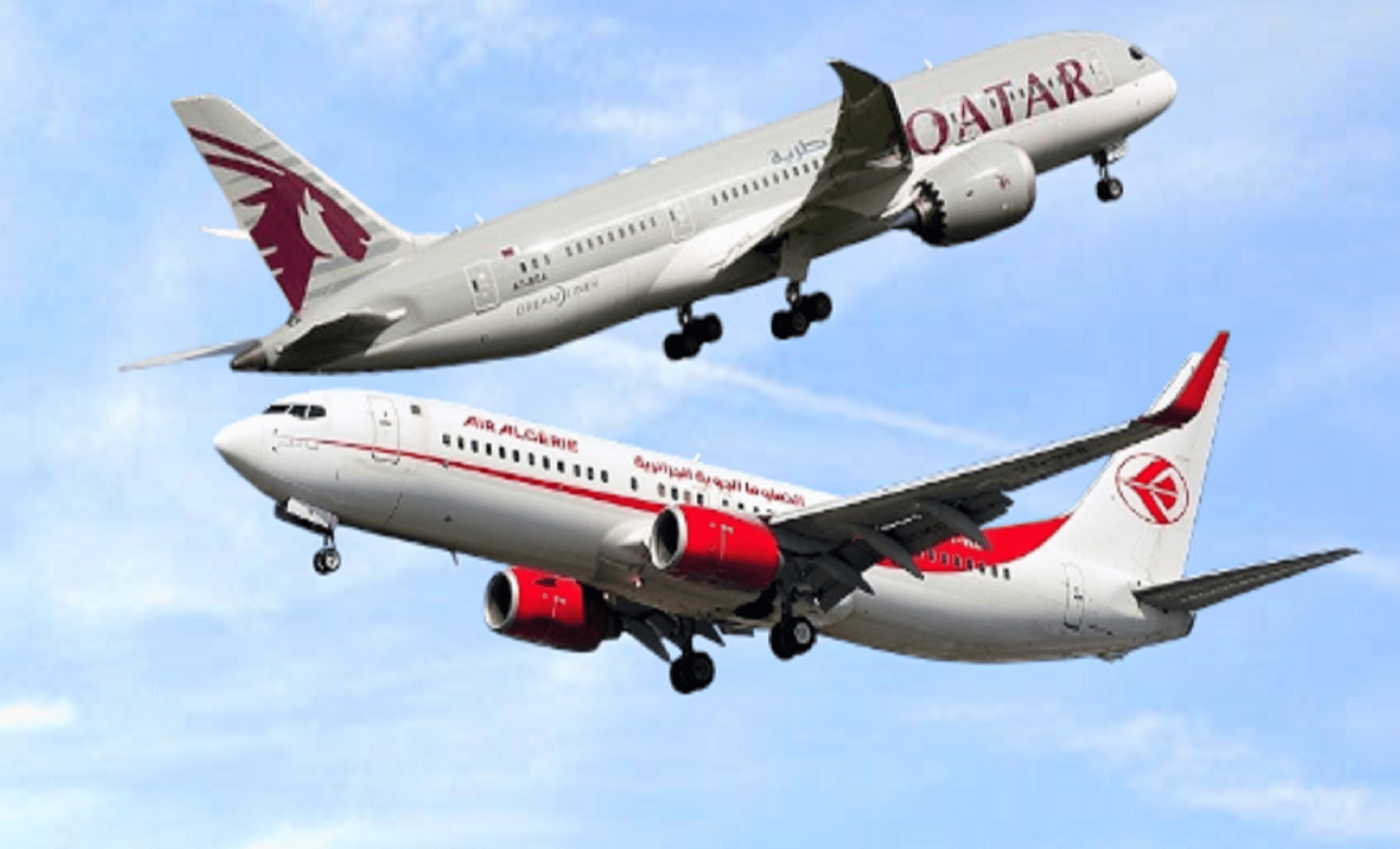 Ghedjemis a choisi son club, mais Frosinone ne lâche rien Nouvelles routes Qatar Airways : 6 villes algériennes desservies