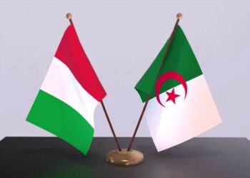 L’énorme investissement de l’Italie en Algérie dévoilé