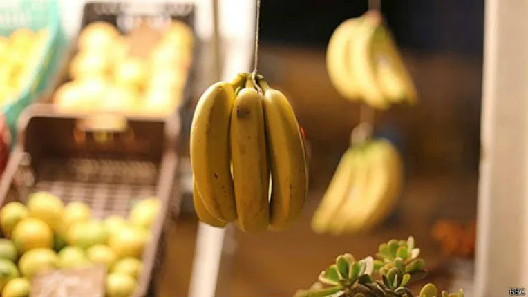 Comment Mostefa Mazouz veut relancer la banane en Algérie Comment Mostefa Mazouz veut relancer la banane en Algérie
