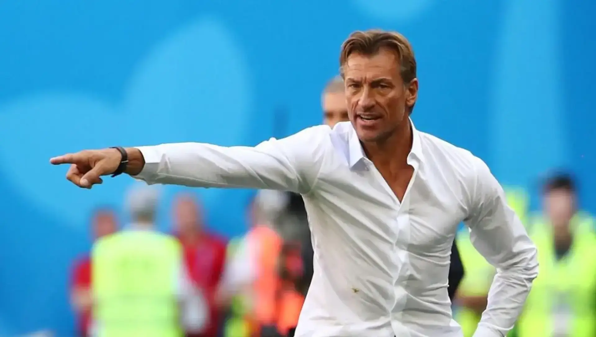 Retour de Renard en Algérie ? Les coulisses révélées Retour de Renard en Algérie ? Les coulisses révélées