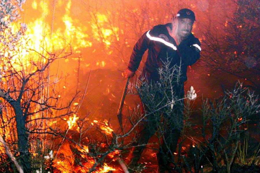 Révélations sur les incendies en Algérie : enquêtes dévoilées Révélations sur les incendies en Algérie : enquêtes dévoilées