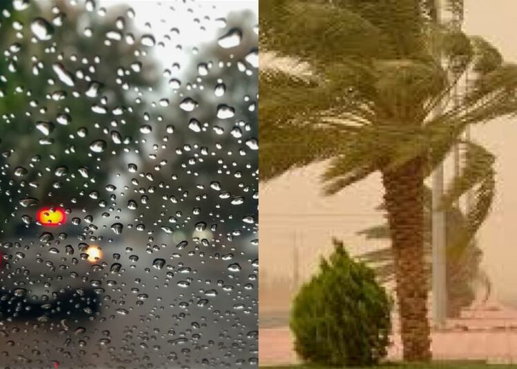 Météo Algérie : vigilance pluie et orages dans plusieurs régions ce samedi