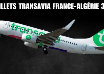 Vols France-Algérie dès 39€ : l’offre Transavia à saisir