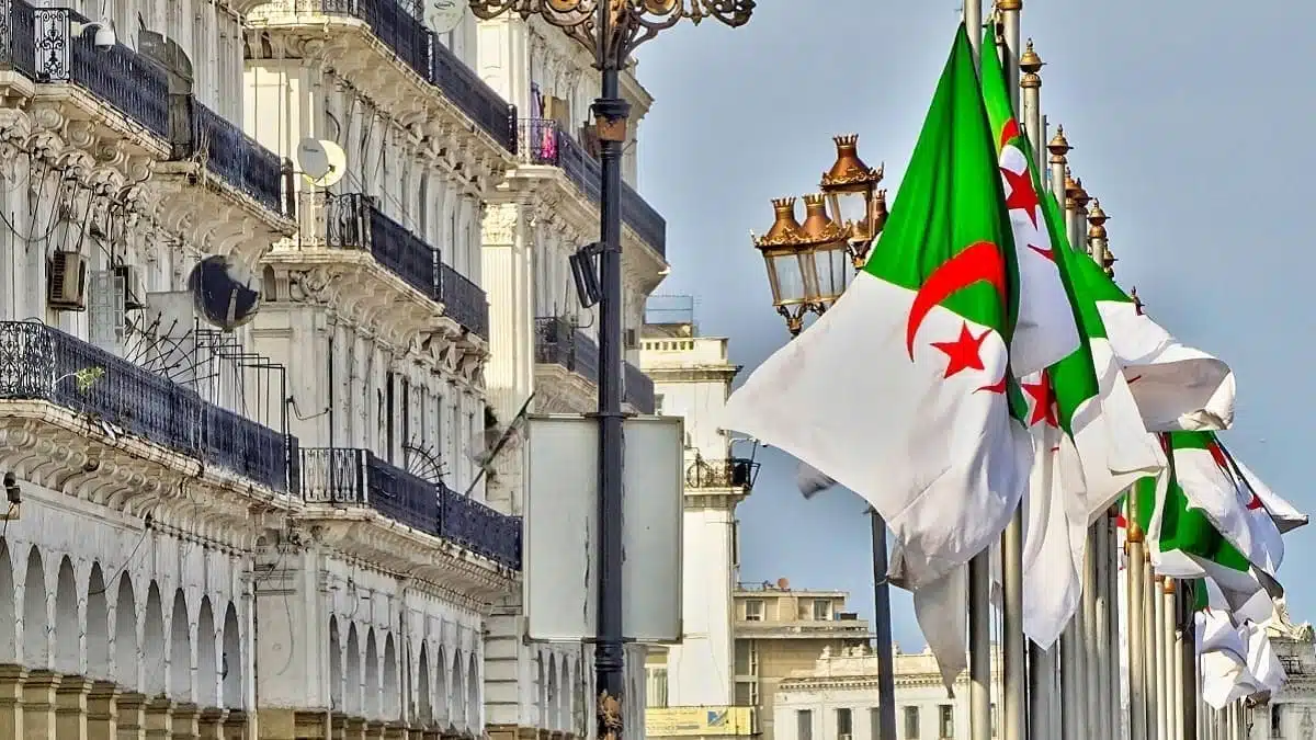 Voyage en Algérie : ce que propose un député de la diaspora