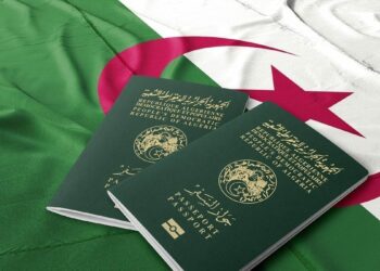 Passeport en ligne pour Algériens à l'étranger : ce qu'il faut savoir !