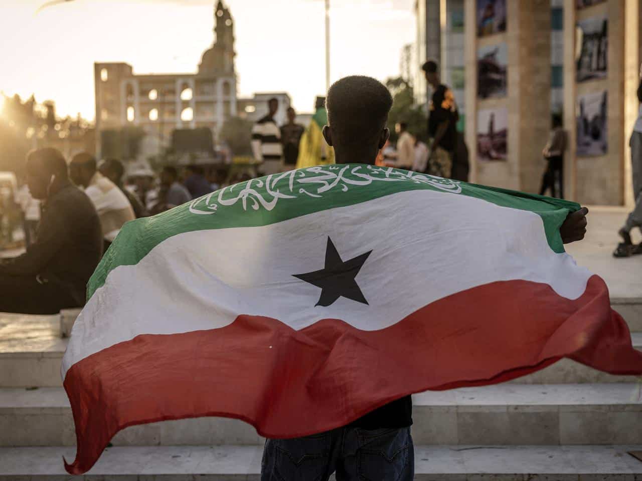 L’Algérie riposte après le soutien d’Israël au Somaliland Jeune tenant un drapeau national algérien lors d'une manifestation.