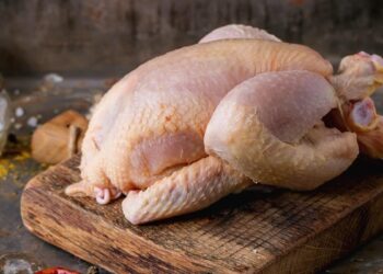 Pourquoi le prix du poulet s'effondre en Algérie