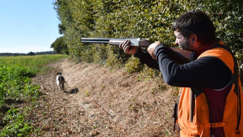 Chasse interdite en Algérie ? La réponse du gouvernement