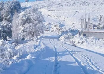 Neige en Algérie : découvrez les wilayas touchées