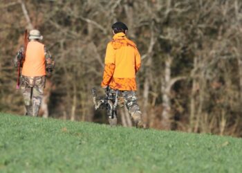 Chasse interdite en Algérie ? La réponse du gouvernement