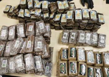 Trois individus marocains impliqués dans le trafic de drogue ont été tués, et un autre arrêté par l'armée algérienne lors d'une embuscade le long de la frontière entre l'Algérie et le Maroc, selon le communiqué du ministère de la Défense nationale publié ce jeudi 29 janvier.