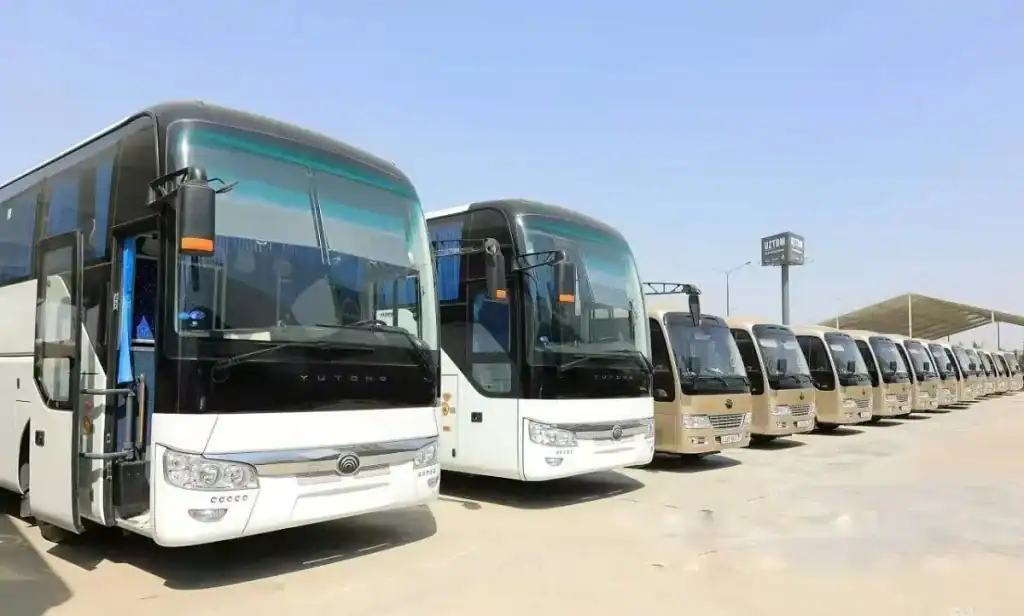 Pourquoi l’Algérie achète 1650 bus chinois cette année Ligne de bus chinois stationnés dans un parking en Algérie.