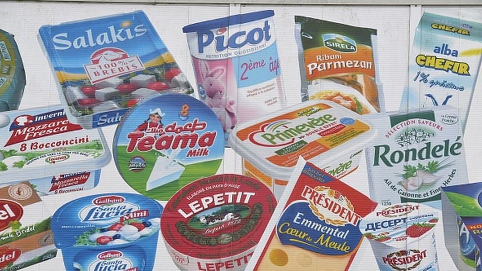 Découvrez le nouveau géant du lait en Algérie !