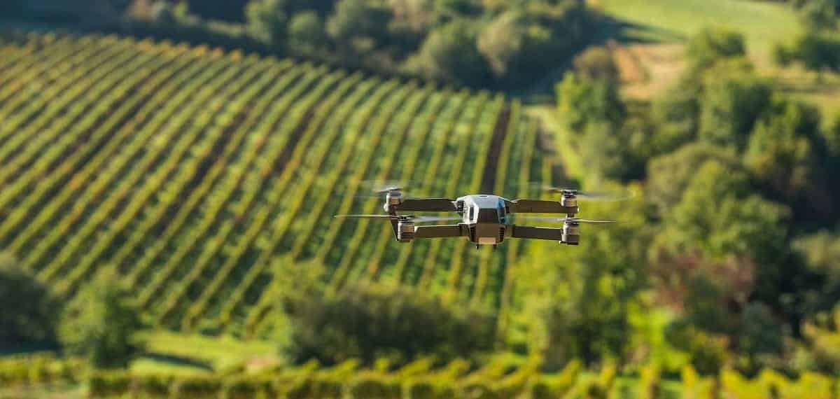 Les USA explorent un secteur prometteur en Algérie Drone sur vignoble verdoyant en Tunisie avec collines en arrière-plan.