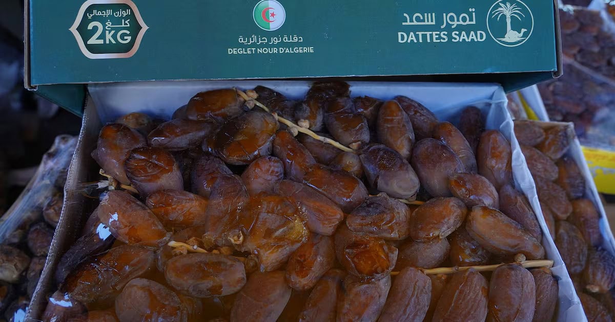 Dattes Saad algériennes dans une boîte, exportées vers le Maroc.
